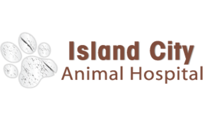 Island City Animal Hospital-HeaderLogo
